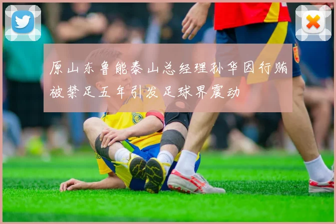 原山东鲁能泰山总经理孙华因行贿被禁足五年引发足球界震动