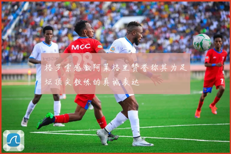 格罗索感激阿莱格里赞誉称其为足坛顶尖教练的真诚表达